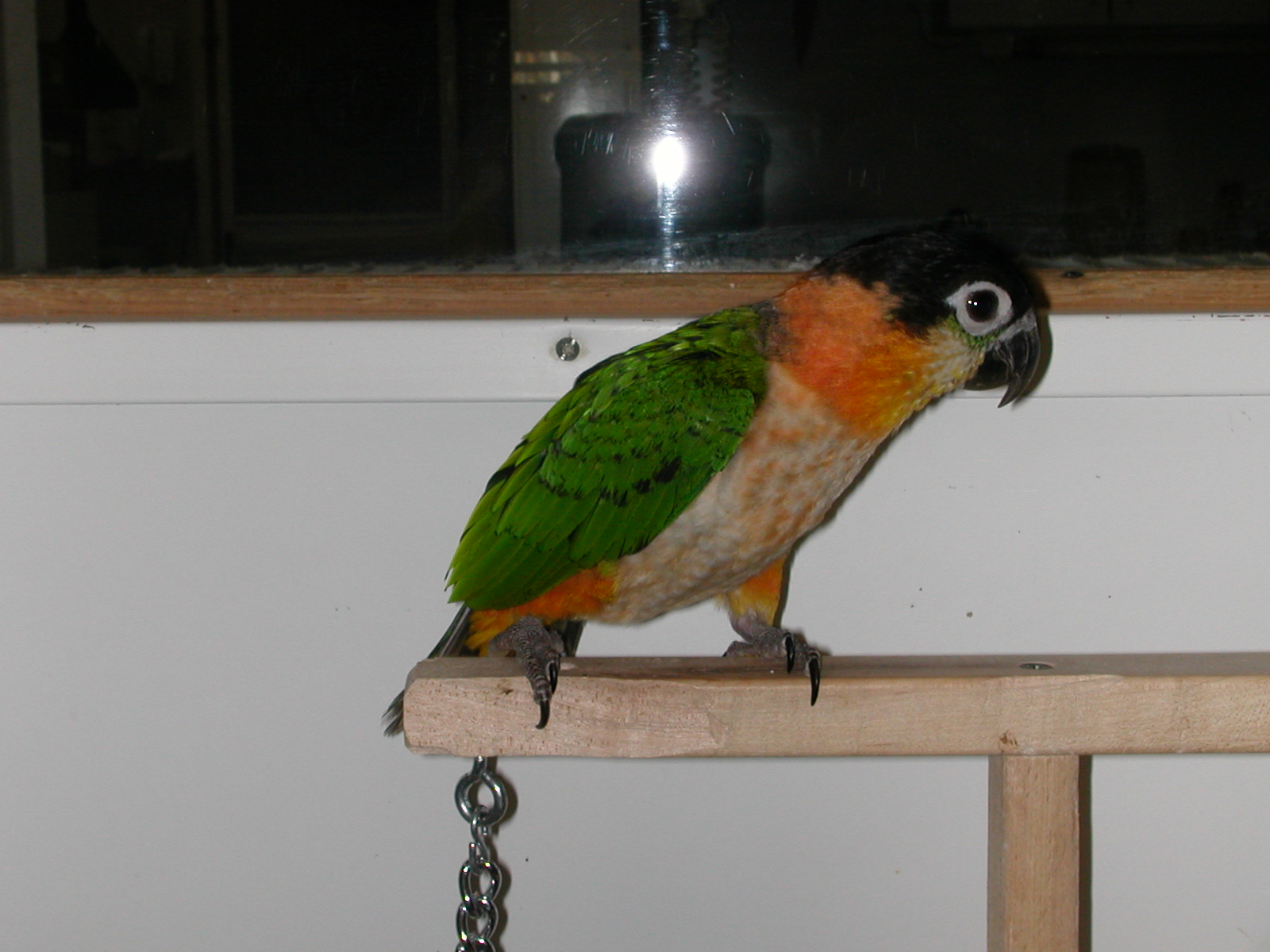 dsc0017.jpg