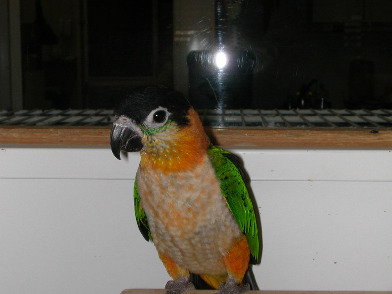 dscn0016.jpg