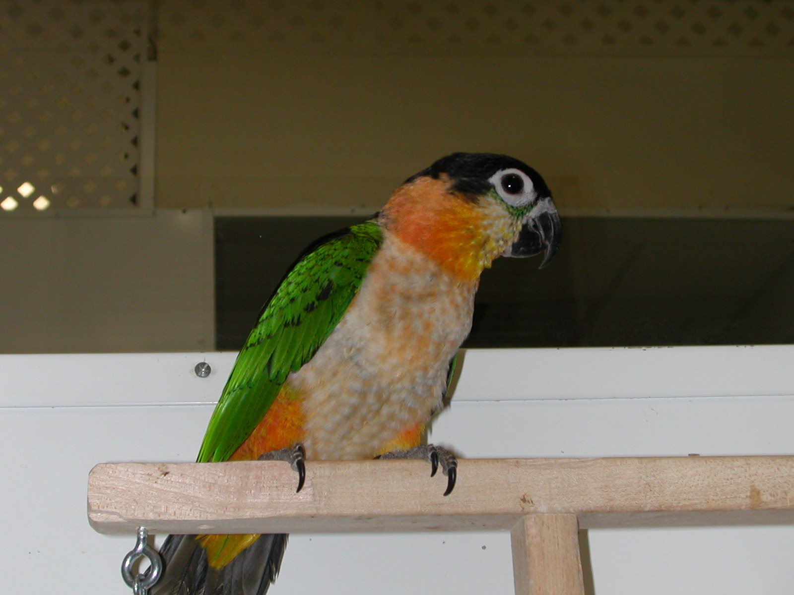 dscn0018.jpg